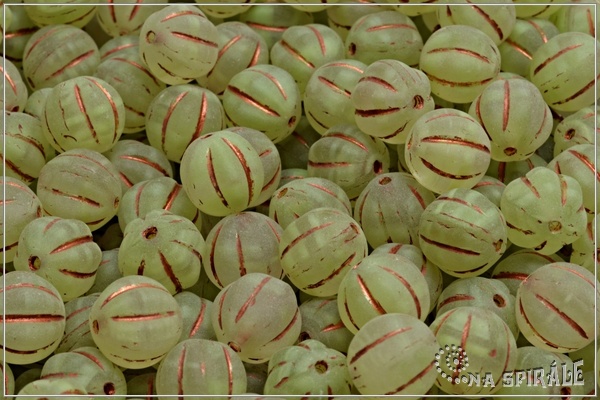 Meloun - melon bead 8 mm, light green+crystal mat copper wash, 12 ks
