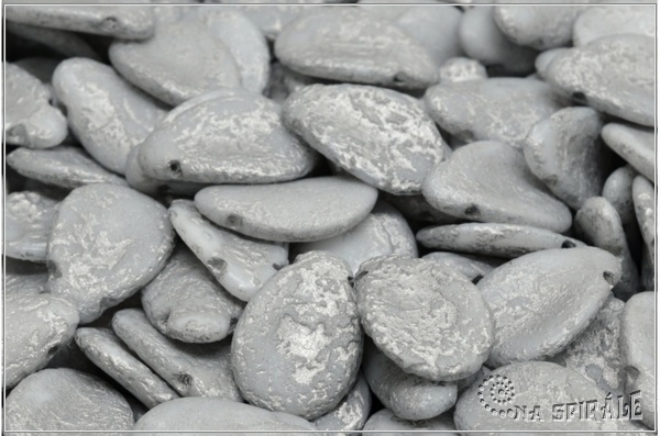 Anemone Petal 11x16 mm - Chalk Etched Silver Wash, 6 ks