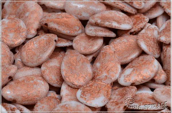 Anemone Petal 11x16 mm - Chalk Etched Copper Wash, 6 ks