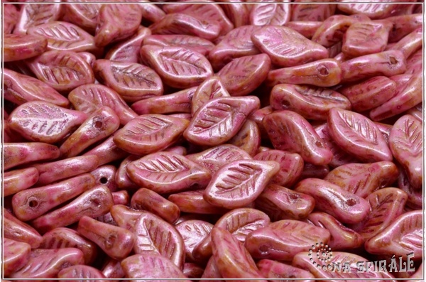 List bobkov 6x12 mm - Chalk, Herbs&Spices Chilli, 20 ks
