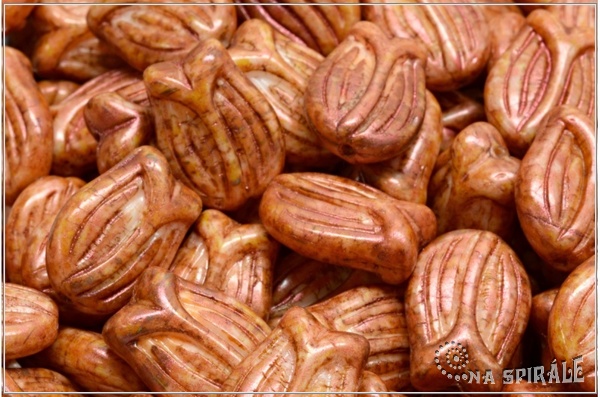 Tulipn - Tulip, 16x11 mm, Orange-White Bicolor, Herbs&Spices Cinnamon, 3 ks