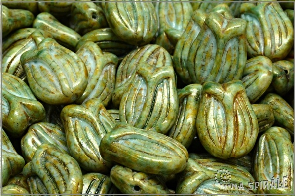 Tulip�n - Tulip, 16x11 mm, Mint-White Bicolor, Herbs&Spices Cardamom, 3 ks