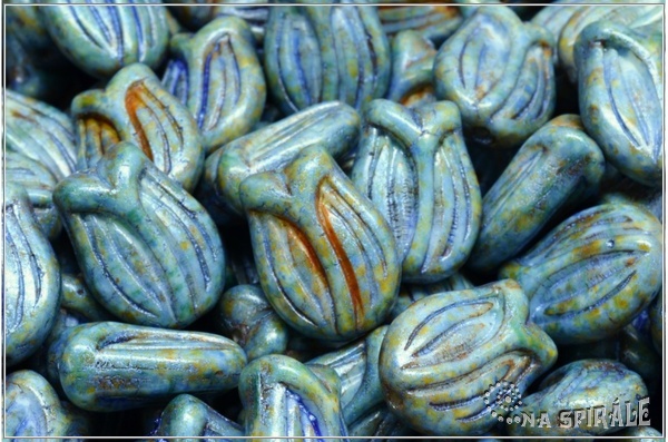 Tulipn - Tulip, 16x11 mm, Mint-White Bicolor, Herbs&Spices Sage, 3 ks