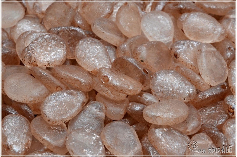 Anemone Petal 8x11 mm - Crystal Etched Taupe Wash, 12 ks