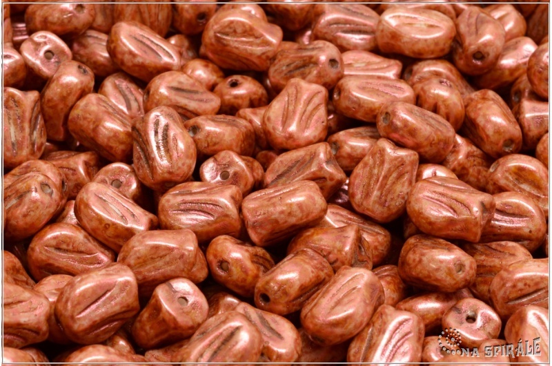 Tulipn - Tulip Mini, 9x7 mm, Chalk Herbs&Spices Cinnamon, 12  ks