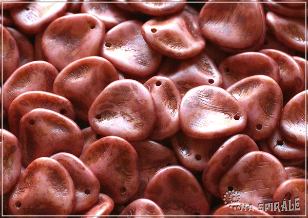 Rose petal 14x13 mm, Chalk Herbs&Spices Chilli, 10 ks