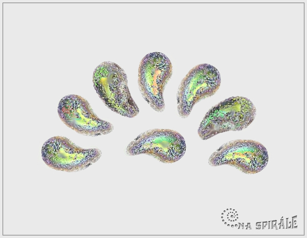 ZoliDuo Right - prav - Crystal Etched Vitrail, 20 ks