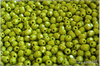 Oh�ovky 4 mm, Opaque Olive, 50 ks