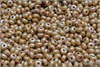 Rondelka 2,5x4 mm, Chalk Herbs&Spices Caraway, 5 g