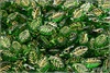 List bobkový 6x12 mm - Green se zlatým zátěrem, 20 ks List bobkový 6x12 mm - Green se zlatým zátěrem, 20 ks