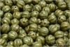 Meloun - melon bead 8 mm, Chalk Herbs&Spices Cardamom, 12 ks