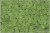 Oh�ovky 4 mm, Transparent Olivine Matted, 50 ks