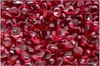Tulip Petal 6x8 mm - Transparent Fuchsia, 30 ks