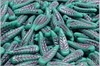 Peka 5x17 mm, Opaque Green Turquoise Pink Wash, 12 ks
