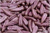 Peka 5x17 mm, Opaque Lavender Pink Wash, 12 ks