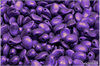 Tulip Petal 6x8 mm - Jet Velvety Purple, 30 ks