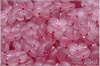 Třešňový květ - Cherry Flower, 14 mm, Crystal Pink Wash, 6 ks Třešňový květ - Cherry Flower, 14 mm, Crystal Pink Wash, 6 ks
