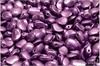 Tulip Petal 6x8 mm - Metallics Light Purple, 30 ks