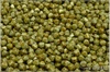 Lucerny 4x4 mm, Chalk Herbs&Spices Cardamom, 100 ks