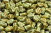 Tulipn - Tulip Mini, 9x7 mm, Chalk Herbs&Spices Cardamom, 12  ks