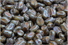 Tulipn - Tulip Mini, 9x7 mm, Chalk Herbs&Spices Pepper, 12  ks