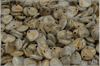 Rose petal 7x8 mm, Etched Alabaster Gold Wash, 50 ks