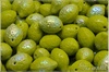Citron - Lemon 10x14 mm, Opaque Olive AB, 6 ks