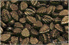List mátový 10x8 mm - Transparent Green Senegal Purple, 20 ks  List mátový 10x8 mm - Transparent Green Senegal Purple, 20 ks