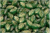 List bukov 7x11 mm - Emerald Matted Gold Wash, 20 ks