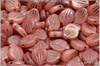 Peony Petal 9x12 mm - Alabaster-Crystal Bicolor, Gold Wash, Milky Opal Salmon, 10 ks
