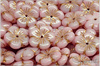 Apple Flower, 14 mm, Chalk Ethereal Candy Pink Gold Wash, 4 ks