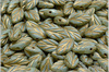 List bukov 7x11 mm - Light Blue Bicolor, Travertine Gold Wash, 20 ks