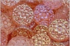 Vesna Coin, 18x18 mm, Crystal Ethereal Salmon AB, 1 ks