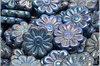 Kopretina - Daisy Flower, 18 mm, Jet Metallic Iris Blue, 1 ks