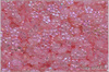 Kytiky - pomnnky 5 mm, Crystal AB Ethereal Candy Pink, 50 ks