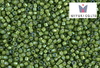 Miyuki Delica, White Lined Green AB DB1786, 5 g