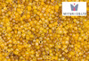 Miyuki Delica 11 MIX, Luminous Mix 1, DB2061 , 5 g