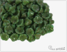 Kytiky - kalky 7x5 mm, Opaque Green Turquoise Travertine, 25 ks