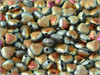 Srdko 6x6 mm, Crystal Etched Marea Full, 12 ks