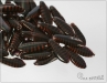 "Special" jazky hnd han, 16x5 mm, 12 ks