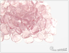 Rose petal 7x8 mm, Transparent Rosaline, 50 ks