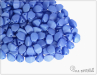Pohanka Vexta Soft Cornflower, 5x3,5 mm, 50 ks