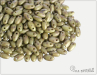 RIZO beads, Chalk Savannah Matted, 10 g