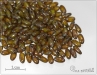 RIZO beads, lime dark travertin, 10 g