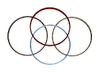 SBF kostry KROUKY - RINGS