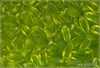 Twist pendant 6x12 mm, Transparent Olivine Matted, 20 ks